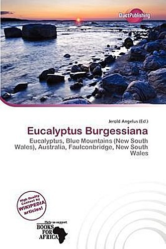 Eucalyptus Burgessiana Jerold Angelus-image