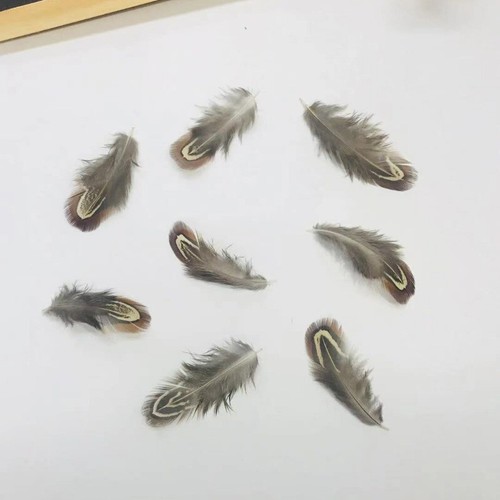180X Random Pheasant Feather DIY Wedding Gift Box Filling Material Accessories - Picture 6 of 6