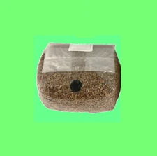 3 lb sterilized rye berry grain mushroom grow bag with injection port