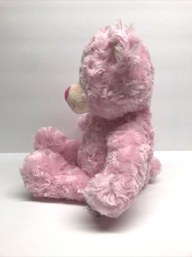 Build A Bear Workshop 16" Plush Stuffed Animal Toy Pink Cuddles Teddy  Blue Eyes - Picture 5 of 11