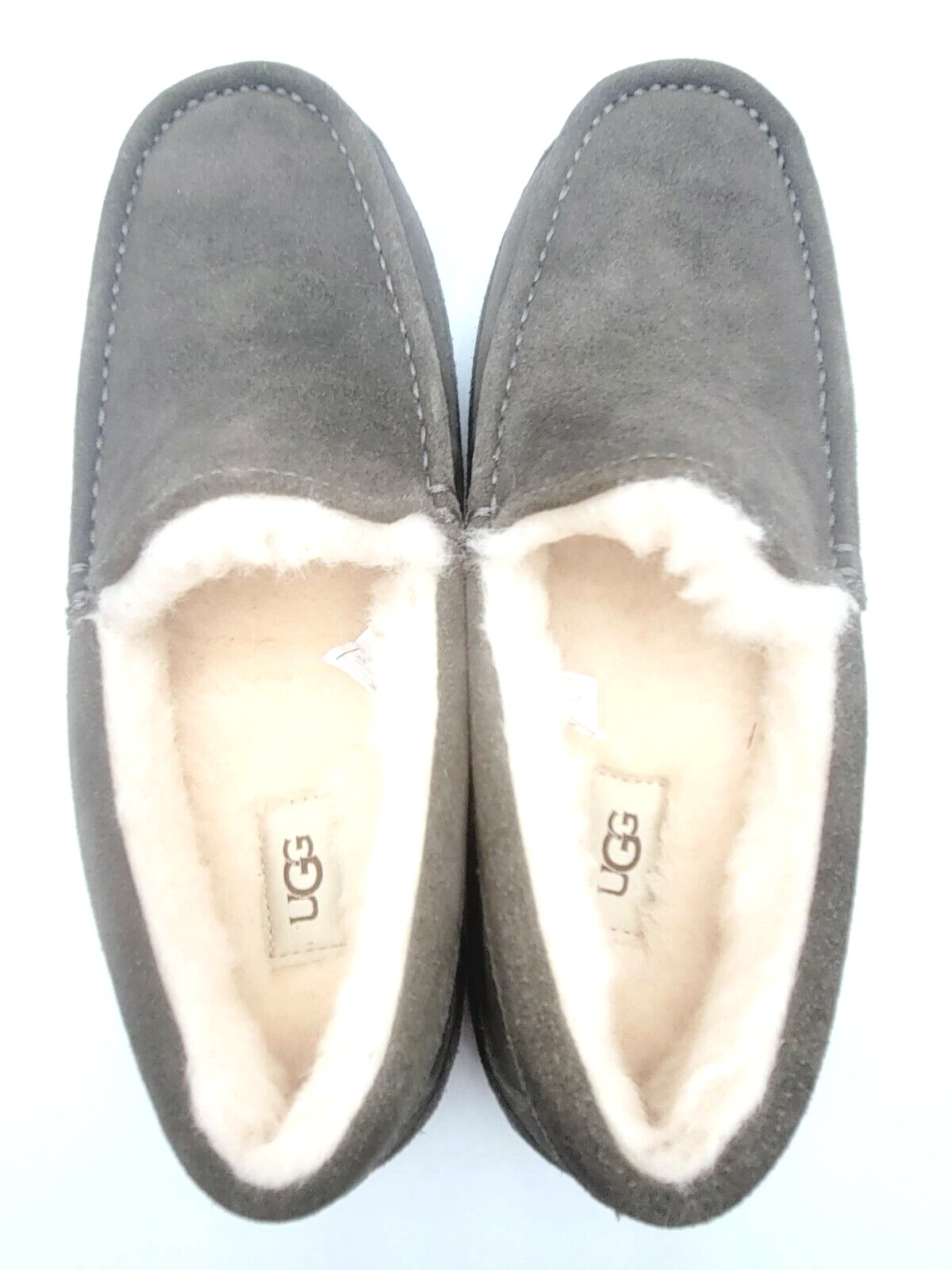 Mocassino slip on uomo Ugg Ascot lana camosciato grigio taglia US8 prezzo al dettaglio $110 nuovo senza etichette