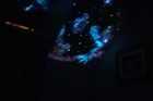 Bild 66 von 83