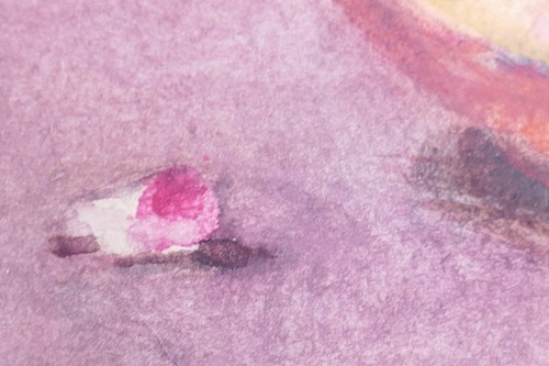 # Arte pastel en papel firmado por Clara MacChesney artista listado naturaleza muerta - Imagen 18 de 24