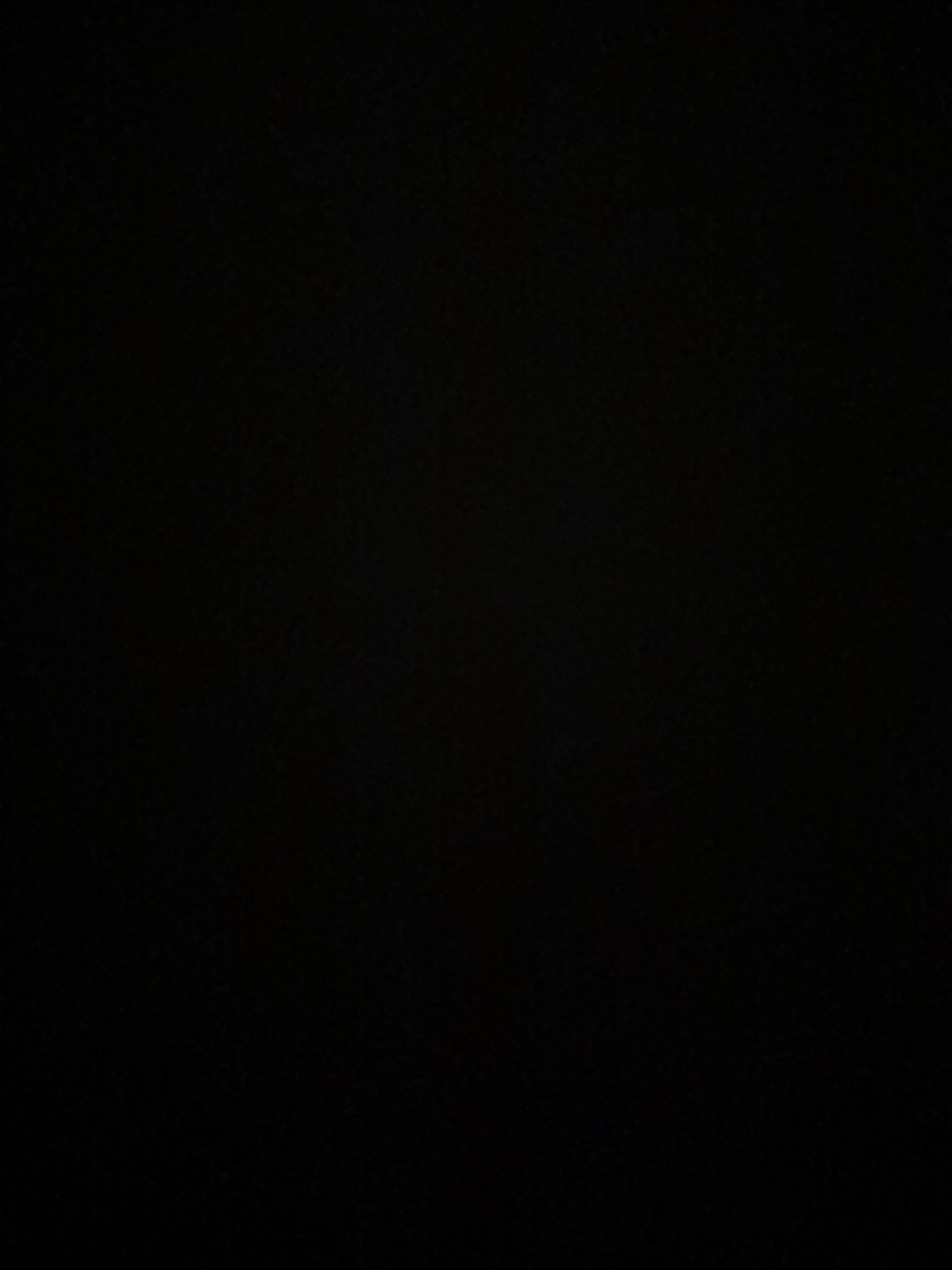 Picture 16 of 19