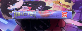 Prince of Persia NES CIB