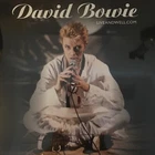 DAVID BOWIE ~  Live and Well.Com (EARTHLING Tour '97) 2 LP SEALED Limited OOP