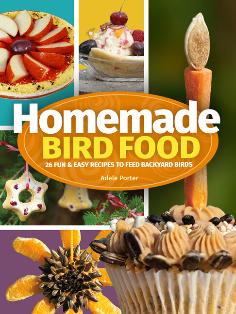 : 26 Fun & Easy Recipes To Feed Backyard Birds