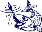 Bild 11 von 14