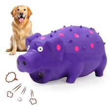 LLSPET Squeaky Pig Dog Toy That Oinks, Latex 7.3 in Grunting Purple 20CM