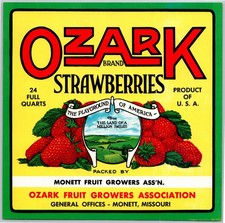 Vintage Strawberry Lable, Ozark Fruit Growers, Monett, MO 8 x 8 inches,