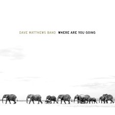 Dave Matthews Band WHERE ARE YOU GOING: THE SINGLES (2LP) (Vinyl)