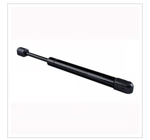 AS Raymond GSNI220030DRDR SHAFT GAS SPRING