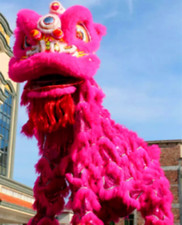 Chinese Kung Fu Foshan Lion Dance Mascot Costume Two Adult rose Red
