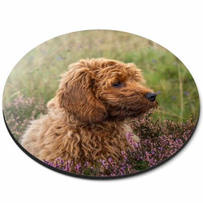 Round Mouse Mat - Fluffy Cockapoo Puppy Dog Office Gift #2703 | eBay UK