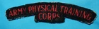 WW2 ARMY PHYSICAL TRAINING CORPS MILITARY SHOULDER PATCH WORLD WAR II