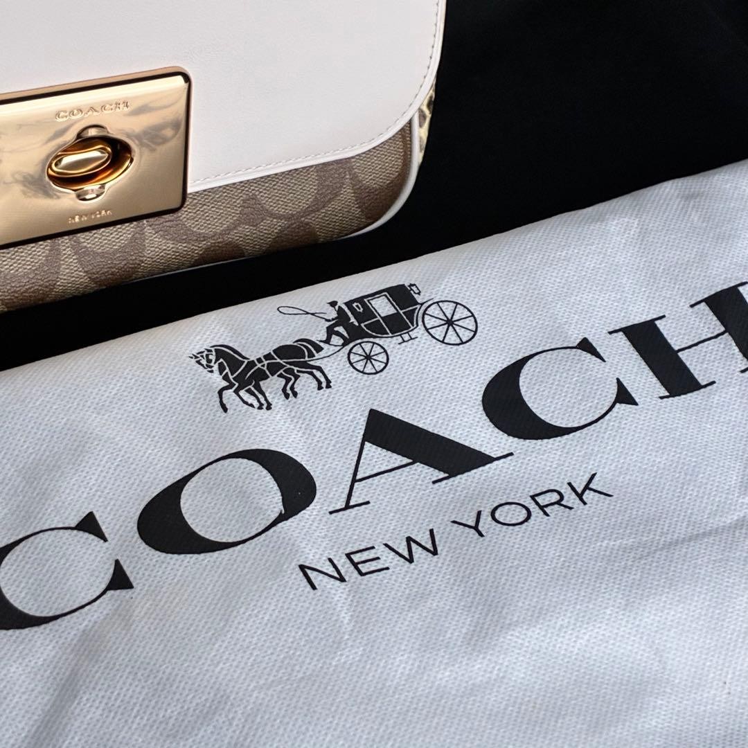 Coach Signature Python Pattern Chain Shoulder Bag… - image 11