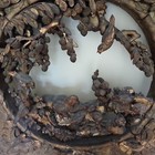 AMAZING & XLRGE Antique Carved Wood Asian Wall Panel - Birds Grapes Butterflies — photo 2