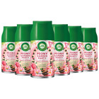 AirWick Freshmatic Nachfüller Pfingstrose Garten Party Erfrischer Automatisch Spray 250ml x6