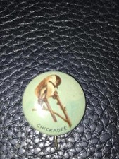Vintage Wild Bird Pinback - Chickadee - Tin Litho