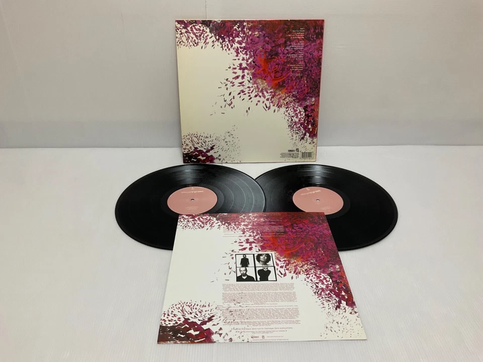 Garbage – Beautifulgarbage 2LP 2001 US ORIG Interscope Records NIRVANA HOLE - Image 3 of 3