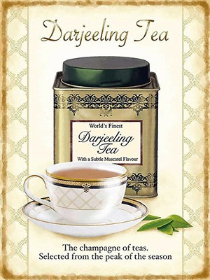 Holzschild 30x40 Tee Darjeeling Tea champagne of teas Wand Deko Cafe Sammler Ges