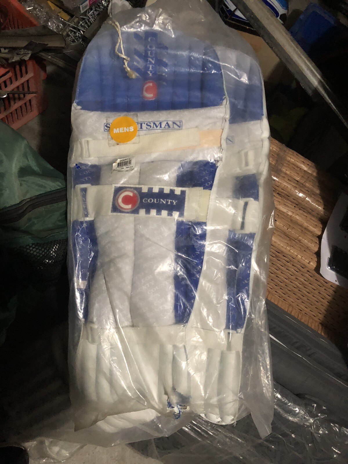 Albion Cricket Helmet / County Knee Pads And Bag Complete Package eBay