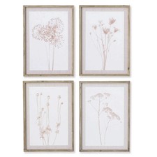 Farmhouse Botanical Wall Art - Set of 4 Sepia Prints