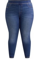 Terra  Sky Women  s Plus Skinny High Rise Pull-On Medium Tint Wash Jeggings NWT