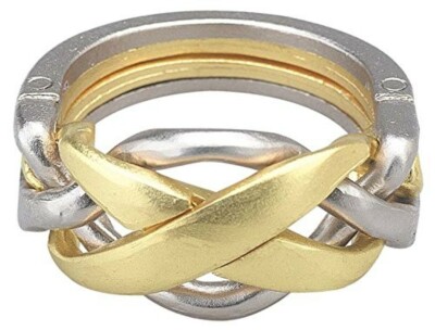 Hanayama Huzzle cast ring [difficulty level 4] Japan Import