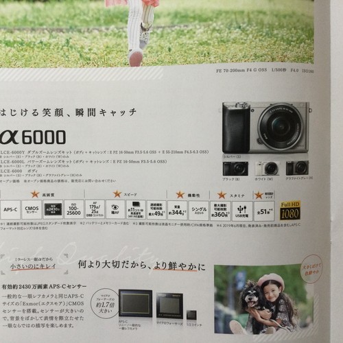 Catálogo japonés de cámara modelo Sony alpha α E montura APS-C publicado en 2019 - Imagen 8 de 11