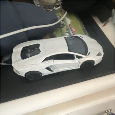 Lamborghini Aventador Diecast Model Car White and Black Contemporary Collectible