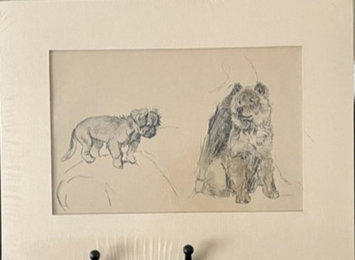 Vintage Cecil Aldin Dog Print Pekingese Chow Chow from 1935 Just Among Friends