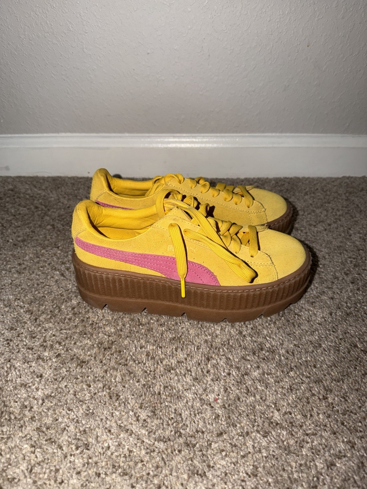 Puma Platform - image 1