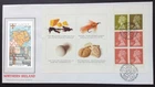 PPS Silk 1994 DX16 Northern Ireland Prestige Booklet Pane 2 on First Day Cover
