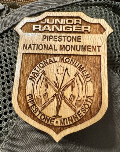 Chaleco guardabosques junior del Servicio de Parques Nacionales - LOTE (12) de alfileres de insignia de madera/plástico NPS - Imagen 5 de 21