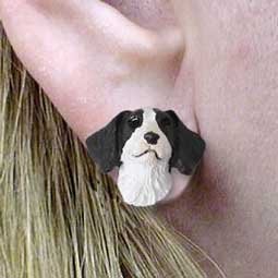 Темы для обсуждения: Печень Бриттани и серьги Белого спаниеля.