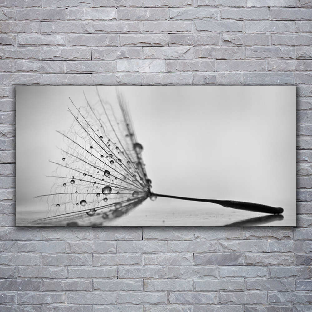 Impression floral pissenlit tableau verre acrylique 120x60 décoration murale