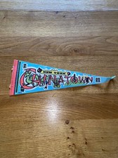 New York 14.5” Pennant/Flag Vintage Felt Chinatown