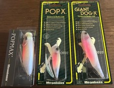 Megabass Popmax Popx Giant Dog-X Topwater Lure Set Baby Kingyo Japan