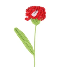Crochet Flowers Handmade Knitted Carnation Flower with Stem White Red