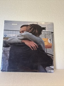 Brockhampton Ginger Vinyl | eBay