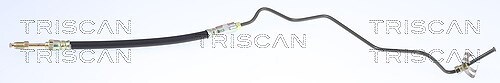 Triscan Bremsschlauch AußEn, Hinterachse, Links U.A. FüR CitroËN, Ds-image