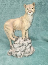 King Of The Hill, Perillo! 1989 Artaffacts! Mexico!