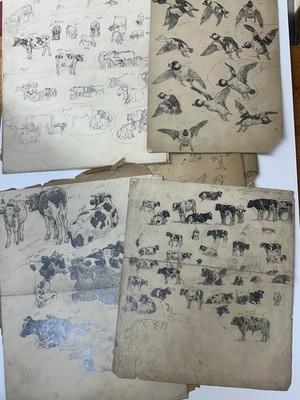 Rare Archive of Original Benson Bond Moore Wildlife & Farm Animal Studies