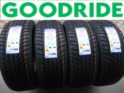 4x Winterreifen Goodride  205/55 R16 91H Alpine Symbol VW Golf 5 6 Touran 1T