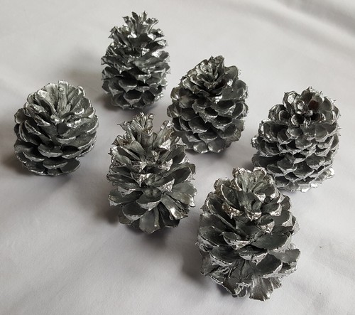 Lot of 6 Small 2.5-3 inch Silver Pinecones for decoration crafts etc - Picture 3 of 8