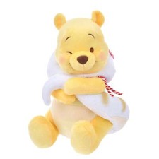 Japan Tokyo Disney Store Winnie the Pooh Plush Toy M ETO POOH 2025