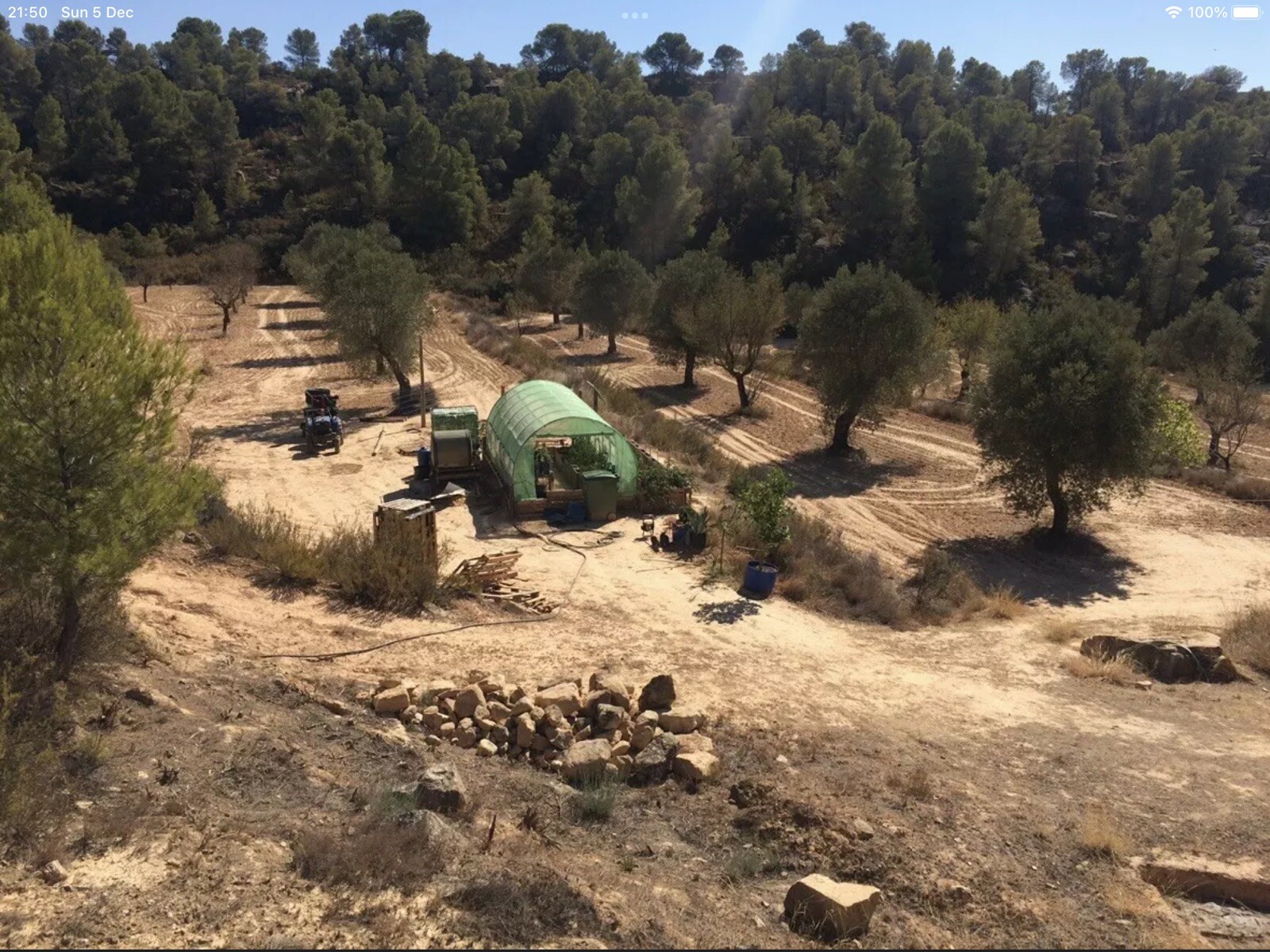 Country Finca 40 Acres Off Grid Fantastic Business Opportunity! Land In Spain - Picture 11 of 12
