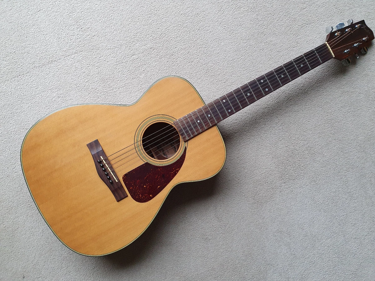 Fender f 200 on sale acoustic guitar