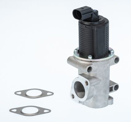 BorgWarner 710770D Agr-Ventil FüR Alfa Romeo Passend FüR Fiat Opel Saab-image